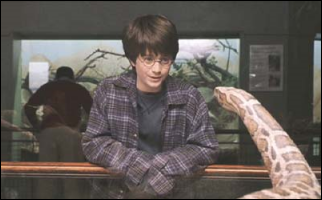 הארי פוטר מגלה שהוא לחשננן בביתן הנחשים של גן החיות