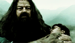 האגריד נושא את גופתו לכאורה של הארי פוטר
